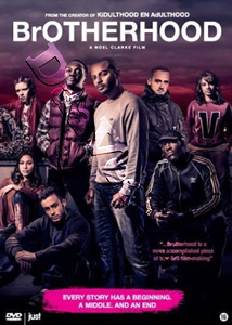 Brotherhood |   DVD